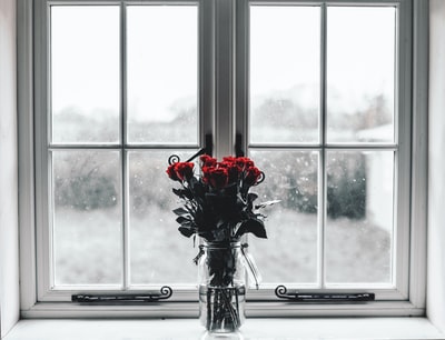选择颜色的红玫瑰摄影在透明玻璃罐子装满水
